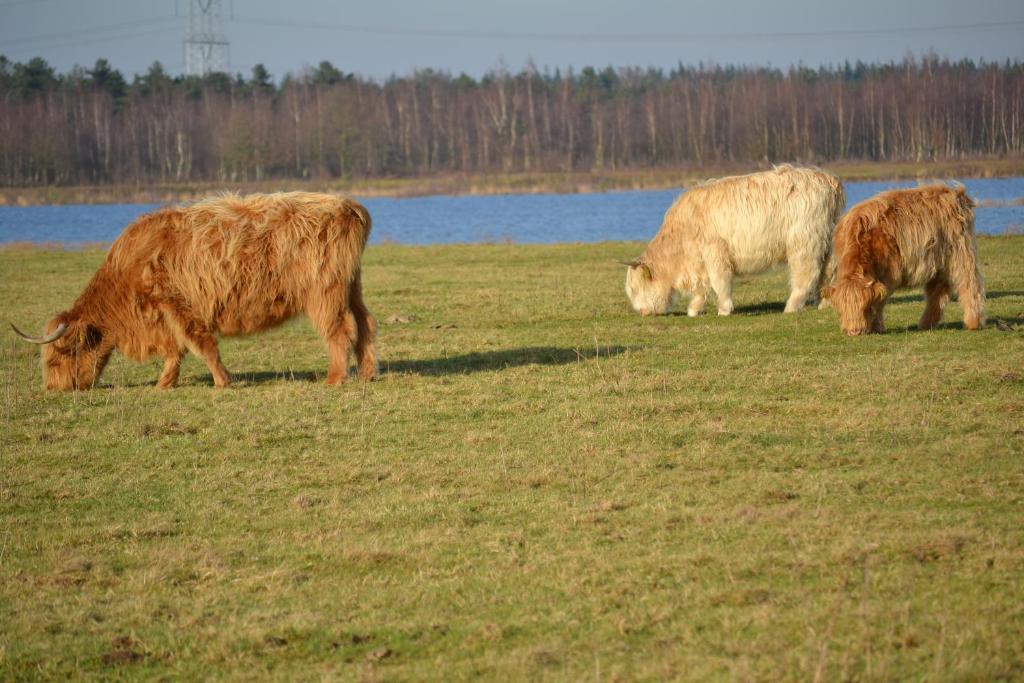 Auberge De Moerse Hoeve المظهر الخارجي الصورة