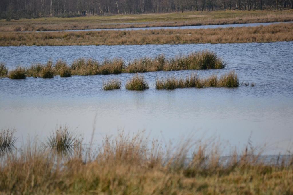 Auberge De Moerse Hoeve المظهر الخارجي الصورة